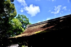 下鴨神社