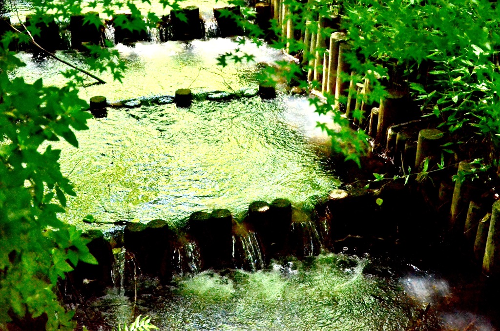 山田池公園