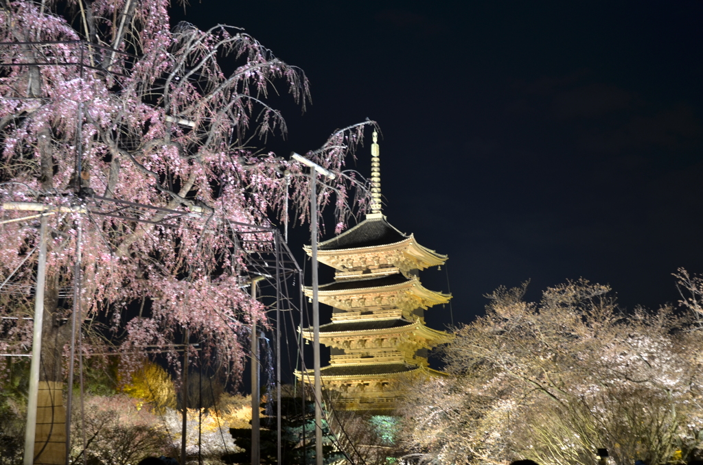東寺ライトアップ