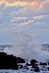 日本海