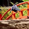 下鴨神社