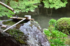 京都散策