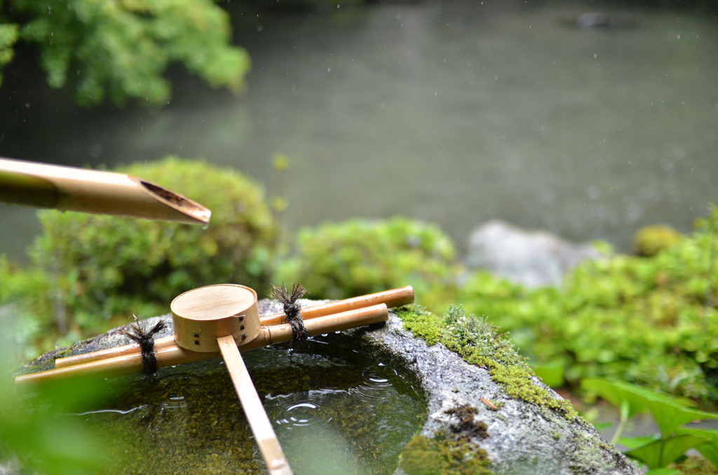 雨の風情