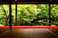 京都 散策