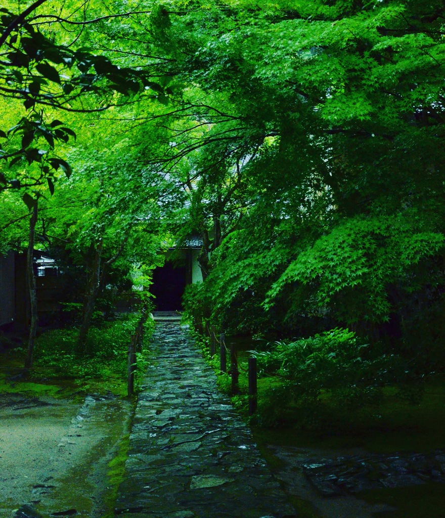 雨の風情
