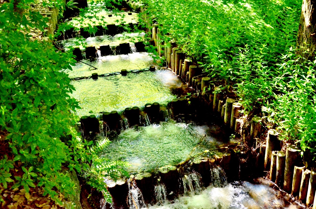 山田池公園