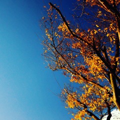 晩秋の空