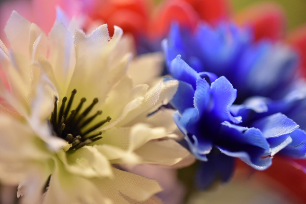 macro