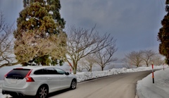車のある風景