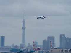 B７８７とスカイツリー