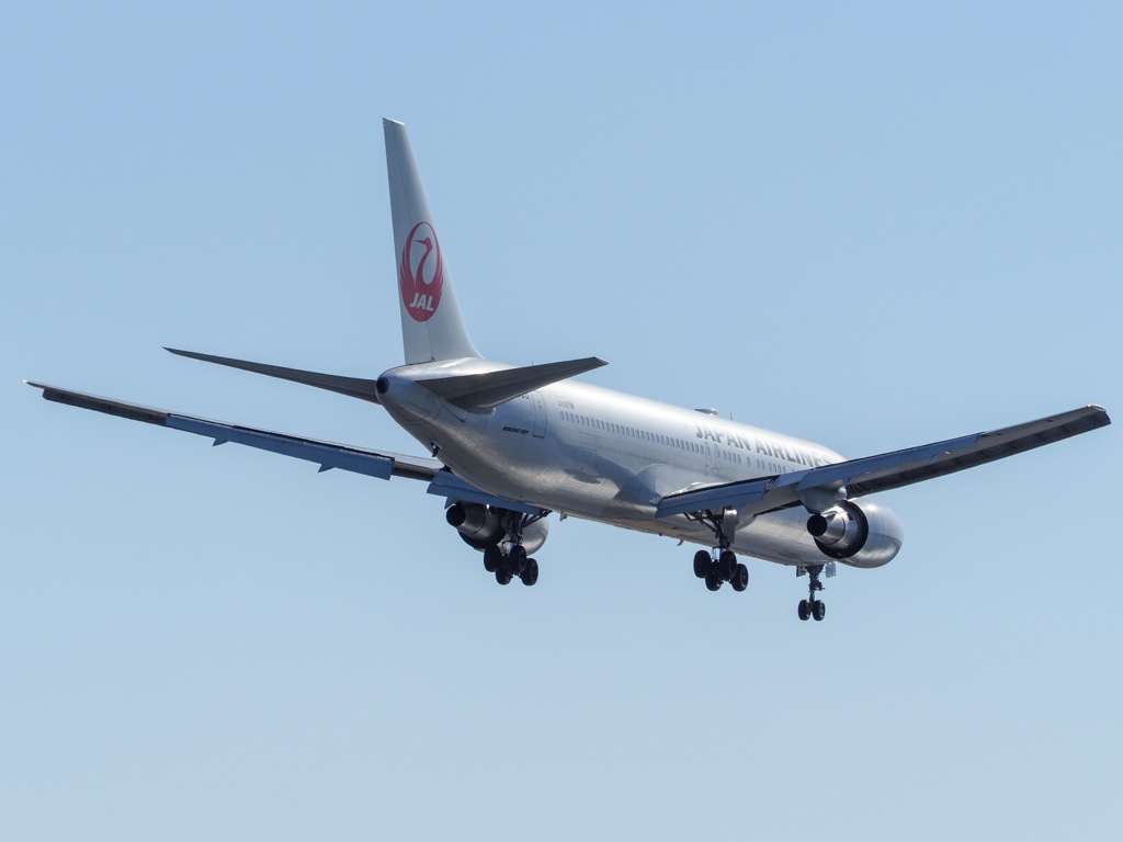 シルバーボディ？