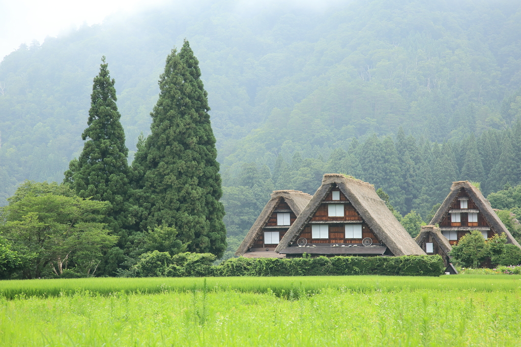 合掌造その3