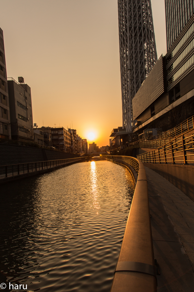 押上の夕日