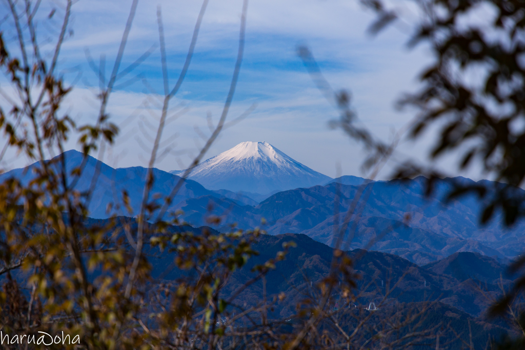 Mt.FUJI