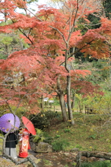 秋のお散歩11