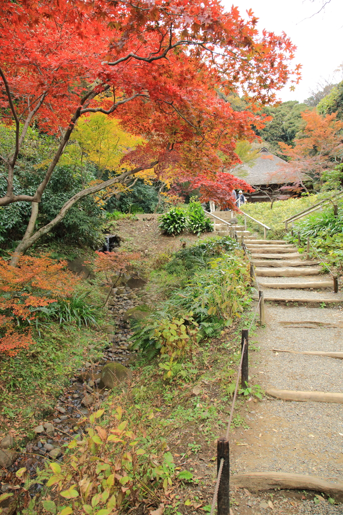 秋のお散歩14