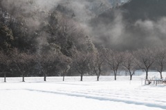 雪の日