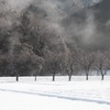 雪の日