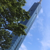 あれが福岡タワー♪