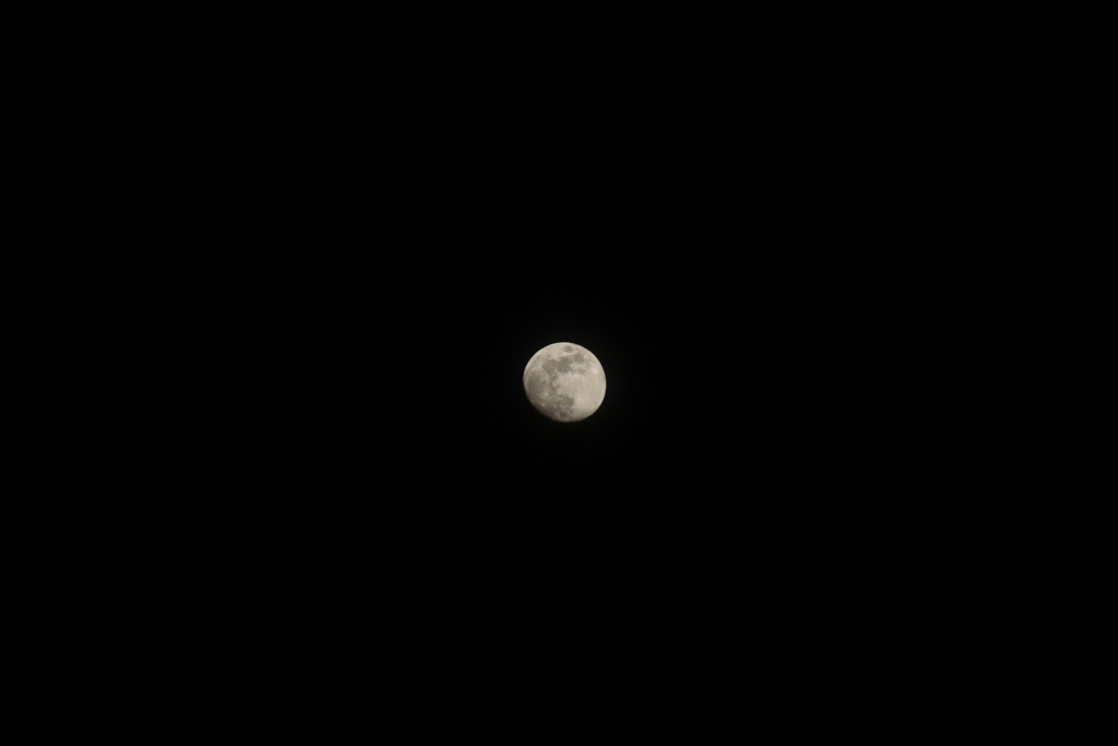 初めての月撮影