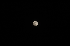 初めての月撮影