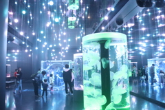 光の世界