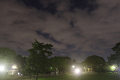 君の名は。風