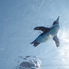 サンシャイン水族館