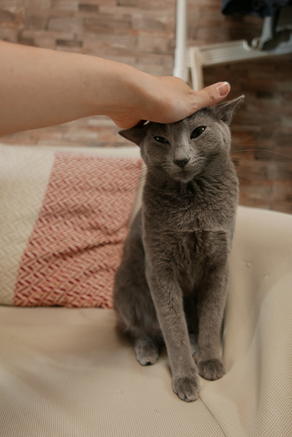 なな