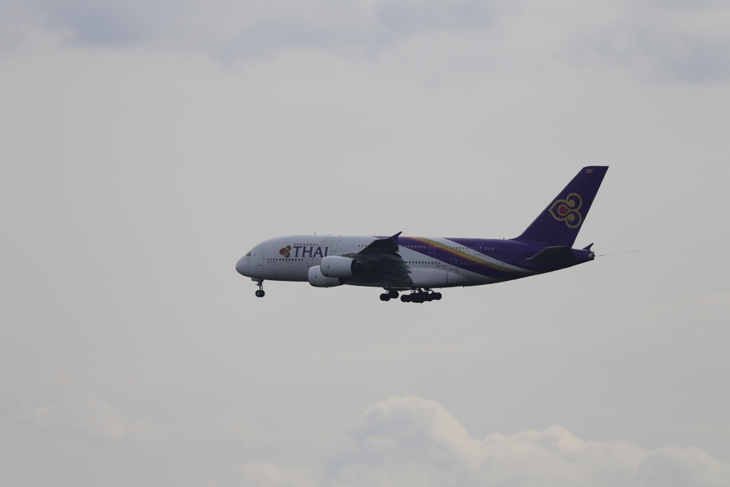 3C6A6985