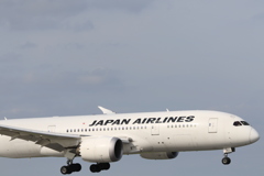 3C6A6928