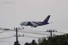 3C6A6994