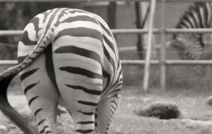 2018.10.14