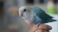 DSC03258