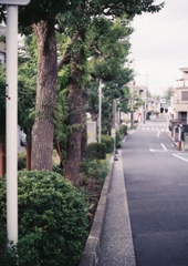 斜路