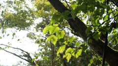 DSC03305_Original