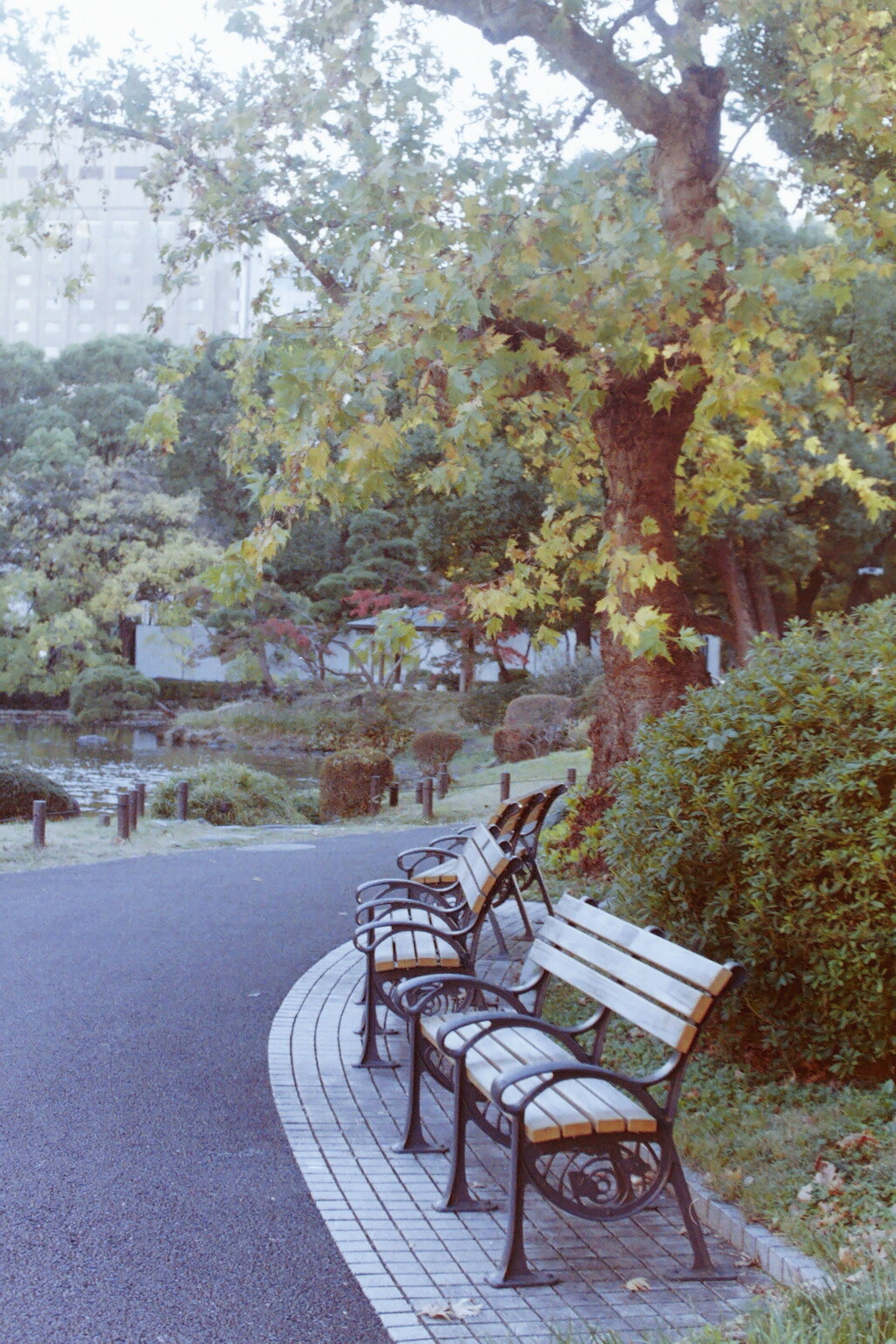 PICT0149