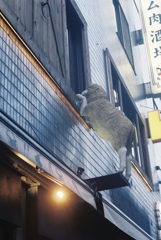ラム