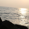 湘南の海
