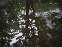 雨の定禅寺