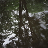 雨の定禅寺