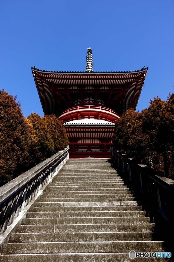 平和って高いところにあるの？