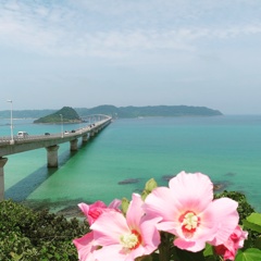 初夏の角島