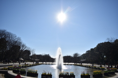 高い空、太陽に噴水が届くように.......