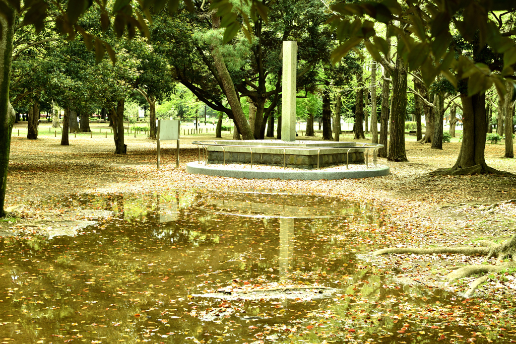 雨上がりの代々木公園
