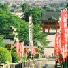 成田山階段（上から）