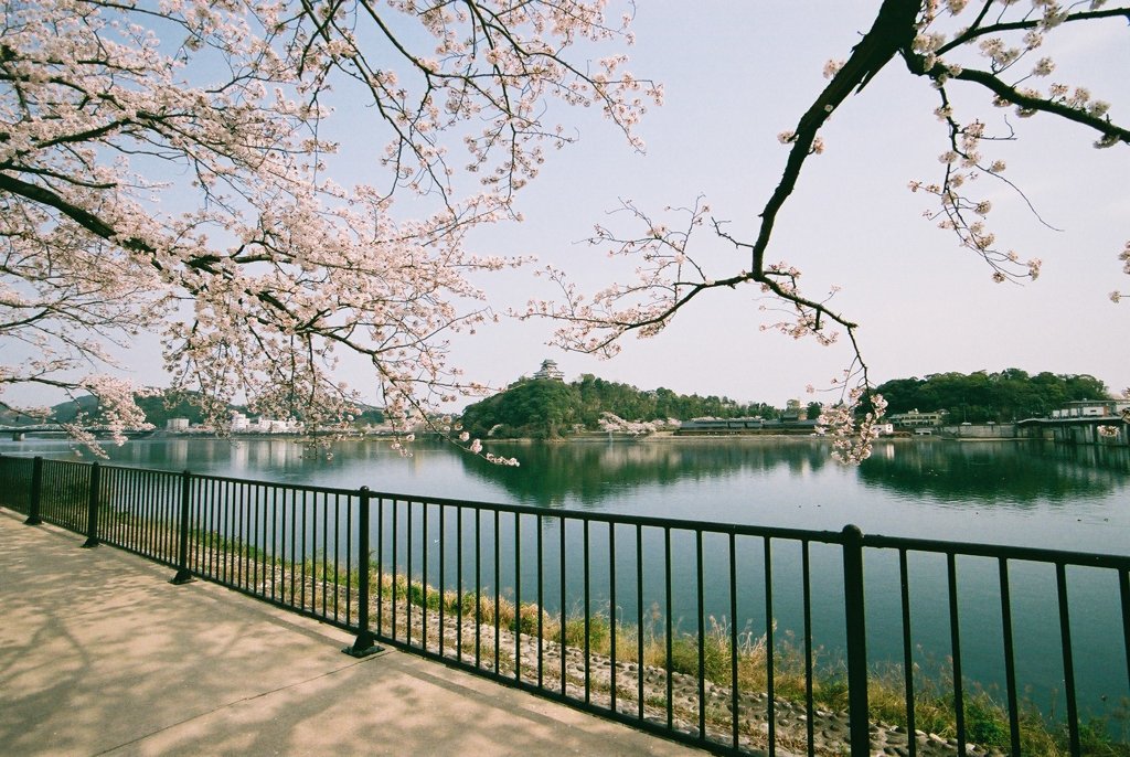 犬山城を各務原市側より望む