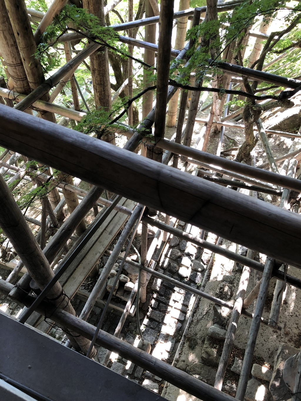 京都 清水寺
