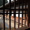 偕楽園 2016