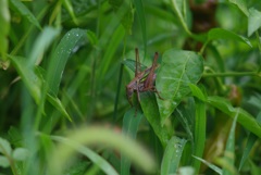 秋までもう少し、